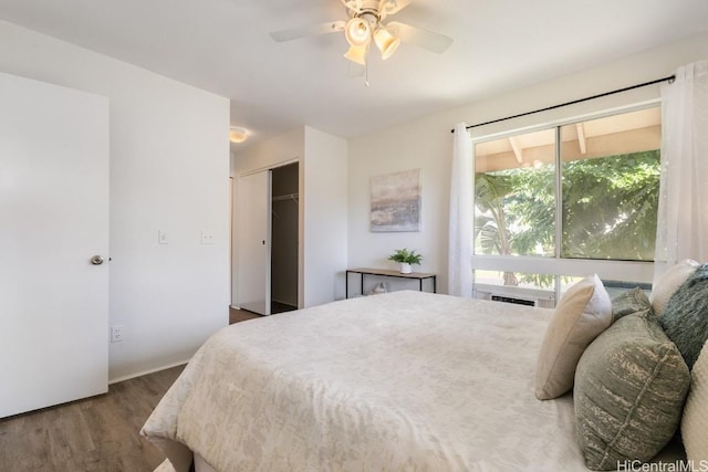 bedroom with dark hardwood / wood-style flooring, a closet, and ceiling fan