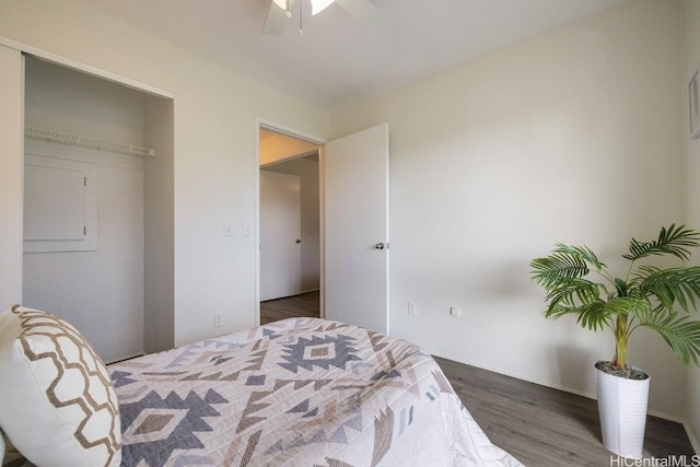 bedroom featuring ceiling fan and dark wood-type flooring