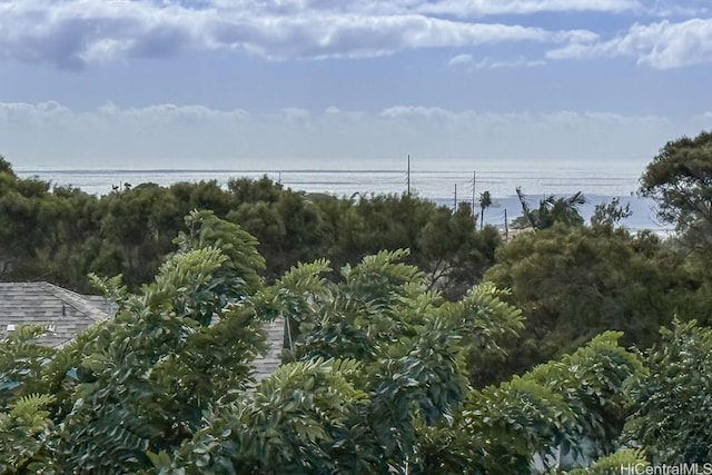 view of landscape featuring a water view