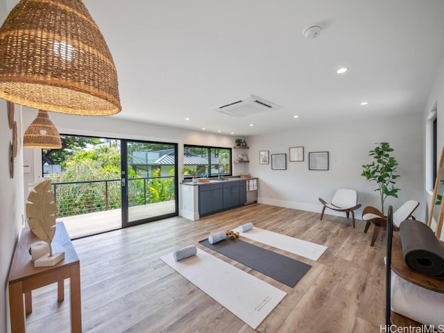 workout area featuring light hardwood / wood-style floors