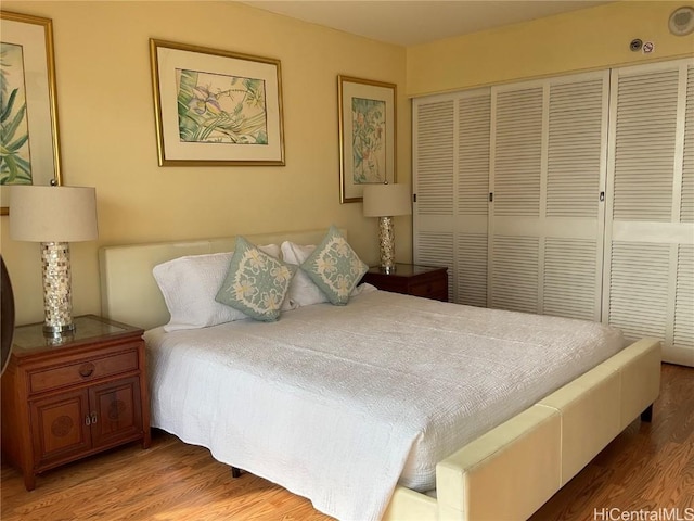 bedroom featuring a closet and hardwood / wood-style flooring