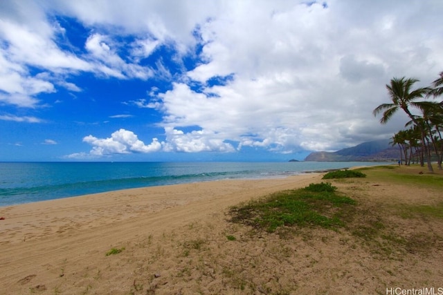 water view featuring a beach view