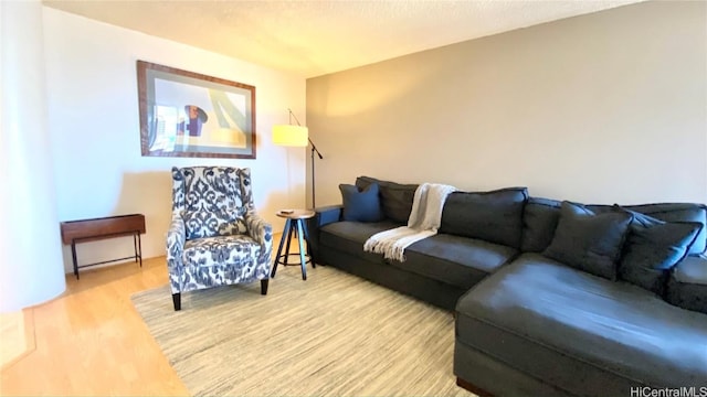 living room with hardwood / wood-style floors