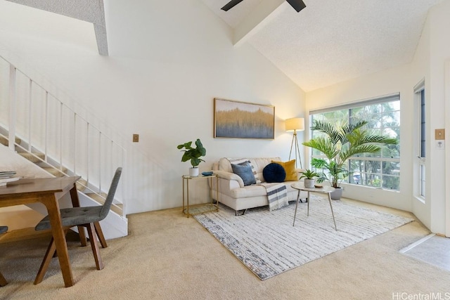 carpeted living room with ceiling fan, beamed ceiling, and high vaulted ceiling