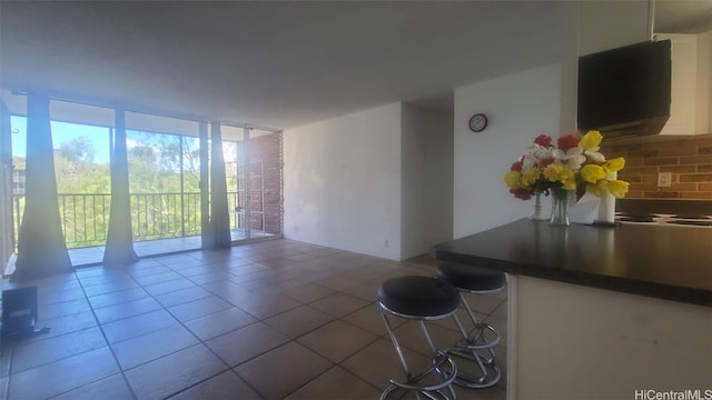 interior space with tile patterned floors and expansive windows