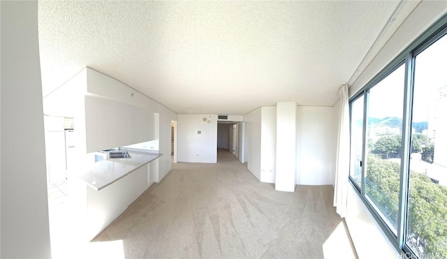 interior space with sink and a textured ceiling