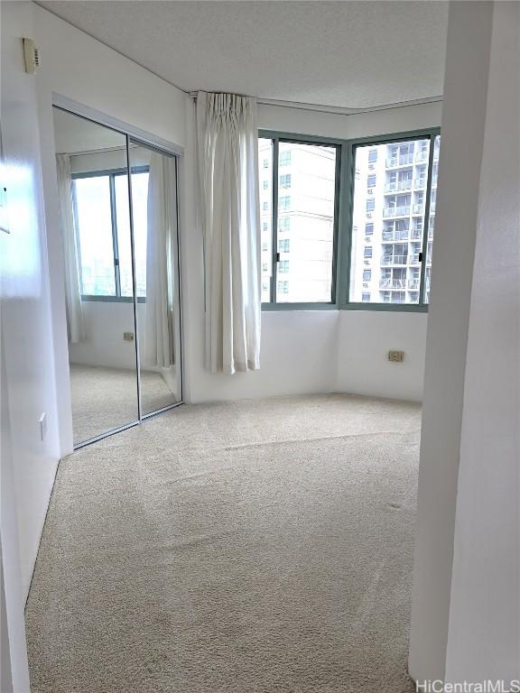 unfurnished room featuring carpet flooring and a wealth of natural light