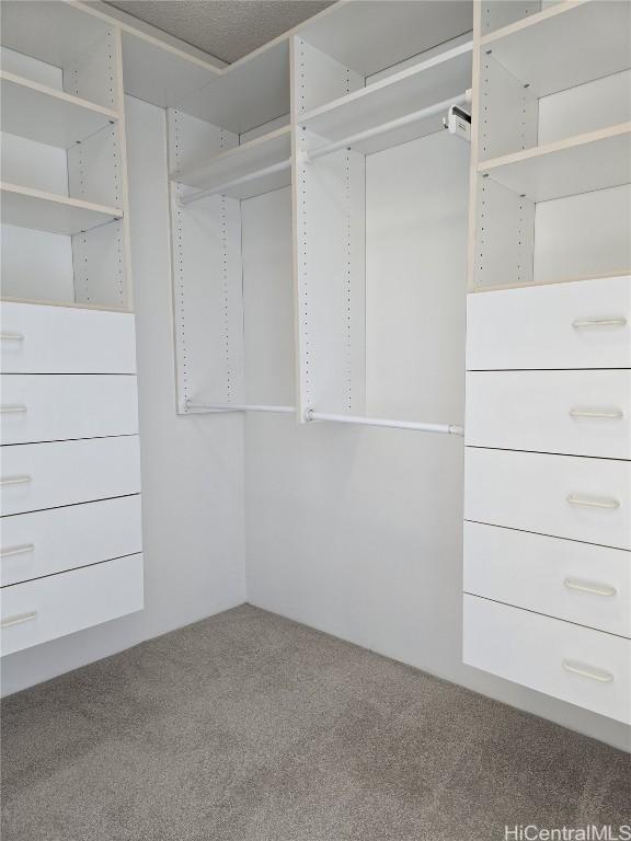 spacious closet featuring carpet