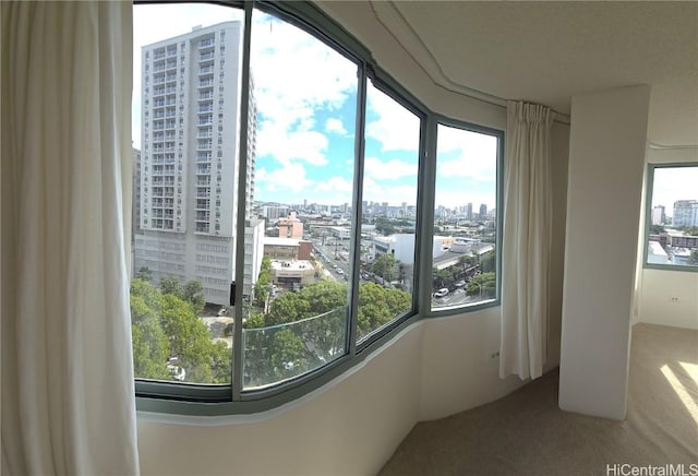 unfurnished room with carpet flooring and plenty of natural light