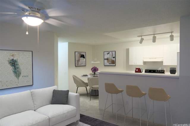 living area featuring carpet flooring and ceiling fan