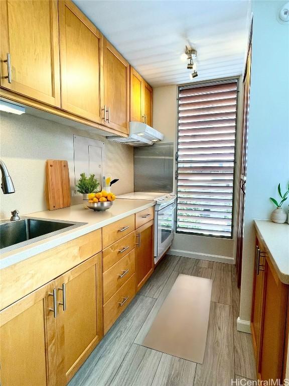 kitchen featuring light hardwood / wood-style flooring, sink, and white electric range oven