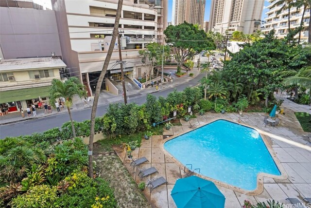 view of pool with a patio area