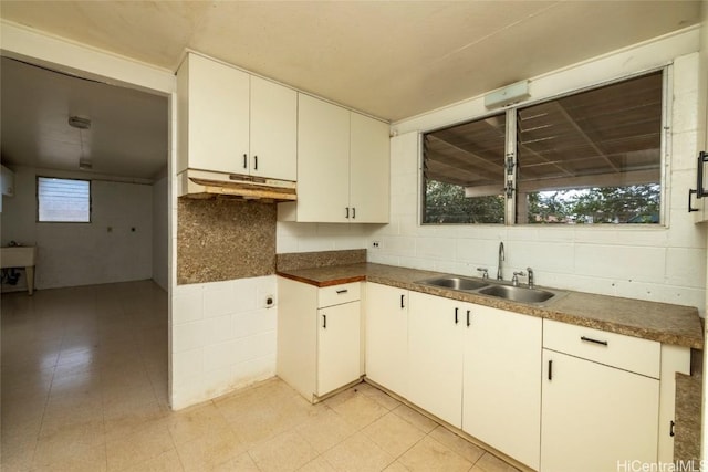 kitchen featuring white cabinetry, sink, and decorative backsplash