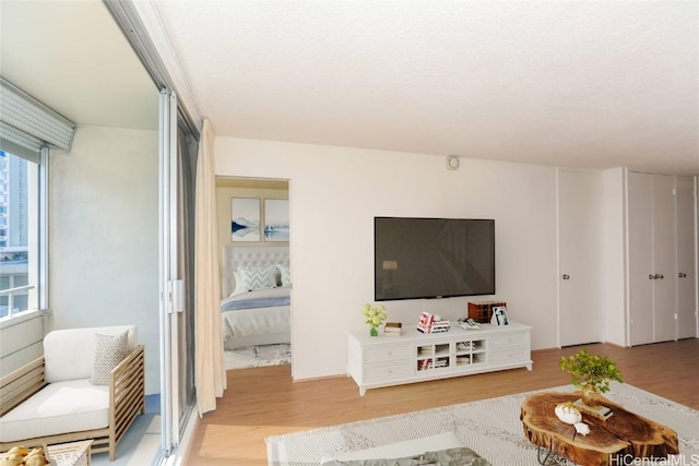 living room with light wood-style floors