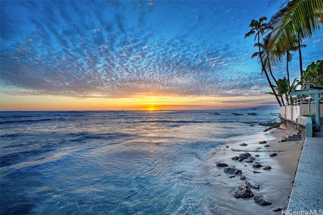 water view featuring a beach view