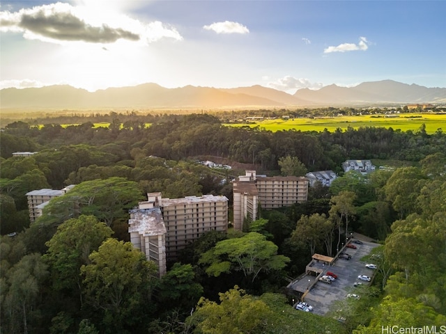 drone / aerial view featuring a mountain view