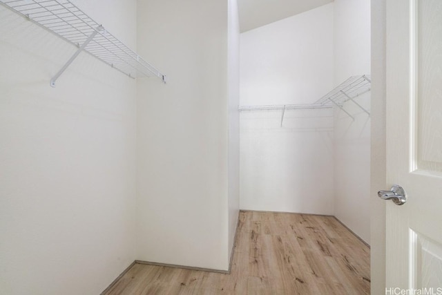 walk in closet featuring light hardwood / wood-style floors