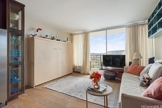 living room featuring expansive windows and light wood-type flooring