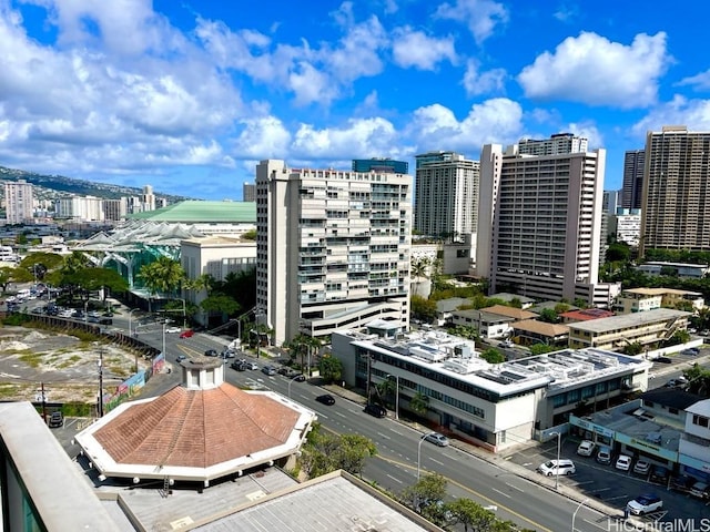 property's view of city