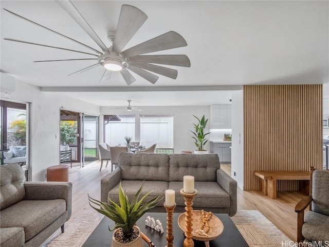 living room with a wall mounted air conditioner and light hardwood / wood-style flooring