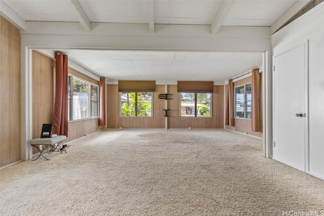 empty room featuring plenty of natural light, carpet, and wooden walls