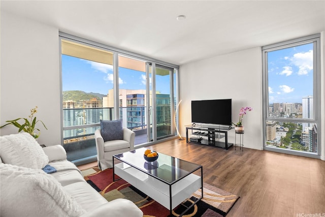 living room with floor to ceiling windows, wood finished floors, and a healthy amount of sunlight