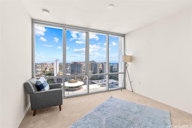 living area featuring expansive windows, a healthy amount of sunlight, and carpet floors