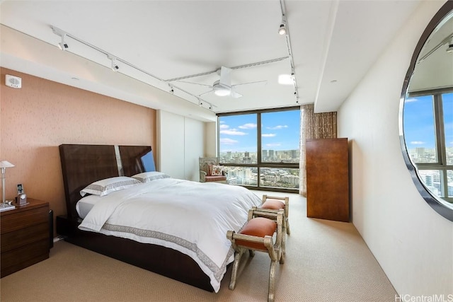 bedroom featuring carpet flooring, ceiling fan, floor to ceiling windows, and track lighting