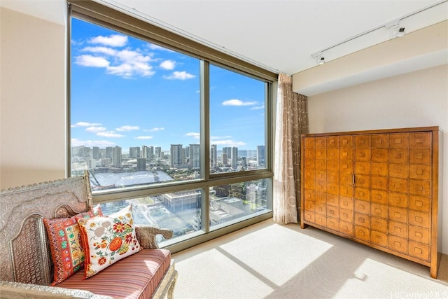 sitting room featuring carpet floors, track lighting, and floor to ceiling windows