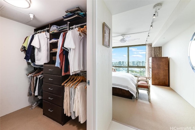 walk in closet featuring ceiling fan and light carpet