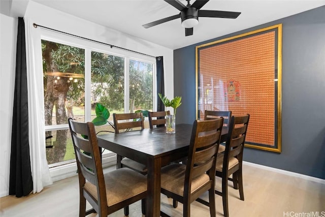 dining room featuring ceiling fan and light hardwood / wood-style flooring