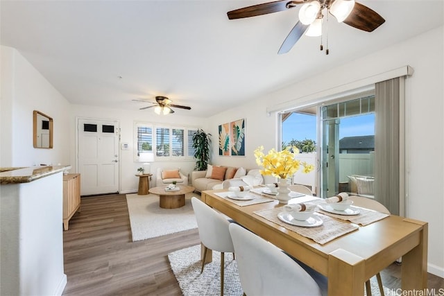 dining space featuring hardwood / wood-style floors and ceiling fan