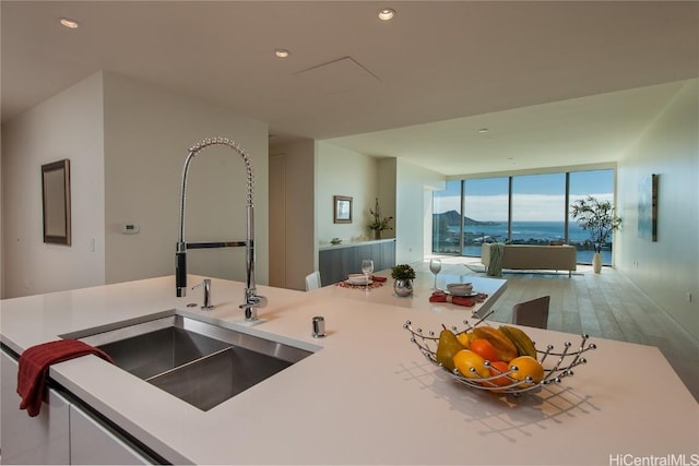 kitchen with sink and floor to ceiling windows