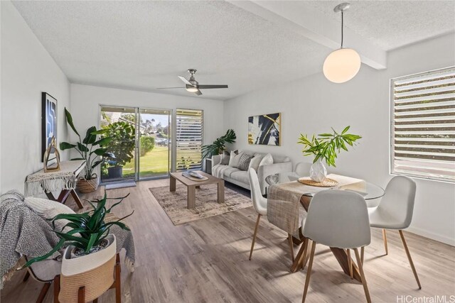 living room with a textured ceiling, ceiling fan, hardwood / wood-style flooring, and beamed ceiling