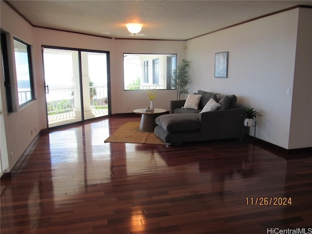 living room featuring dark hardwood / wood-style flooring and ornamental molding