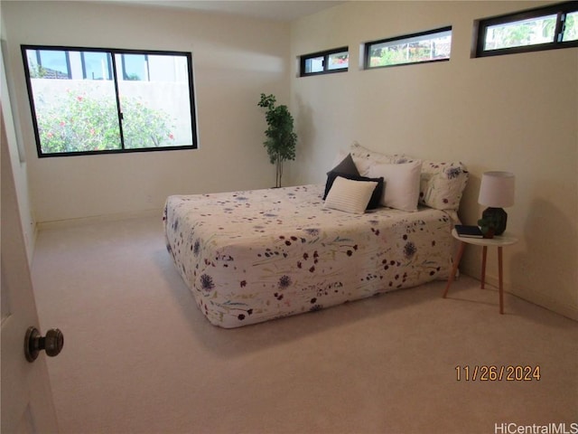 bedroom with multiple windows and carpet flooring