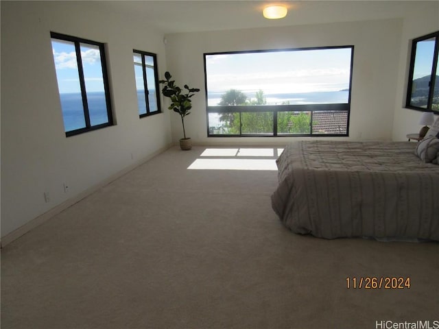 bedroom with carpet floors