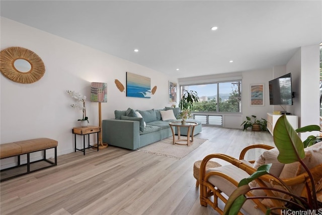 living room with light wood-type flooring