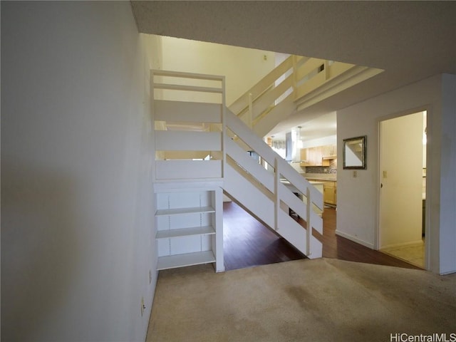 stairway featuring carpet floors