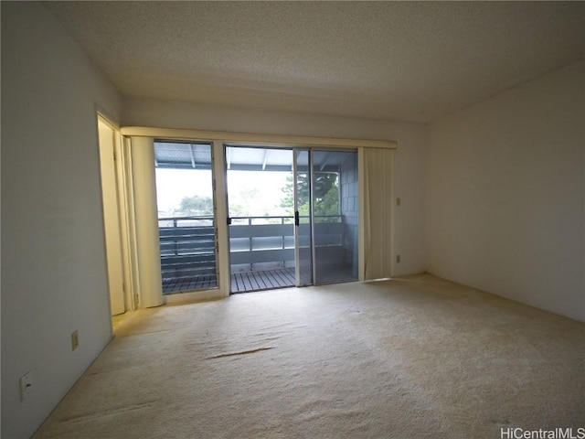 empty room featuring light colored carpet and a textured ceiling