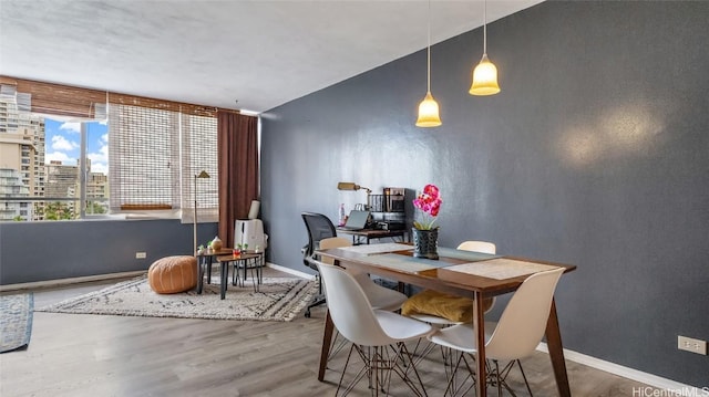 dining room featuring hardwood / wood-style flooring