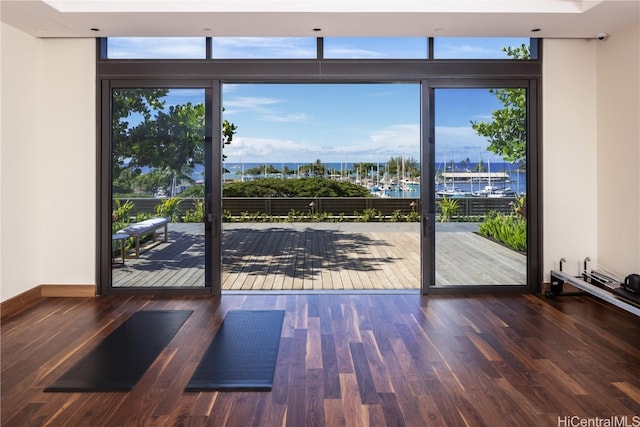 doorway featuring plenty of natural light, a water view, and dark wood-type flooring