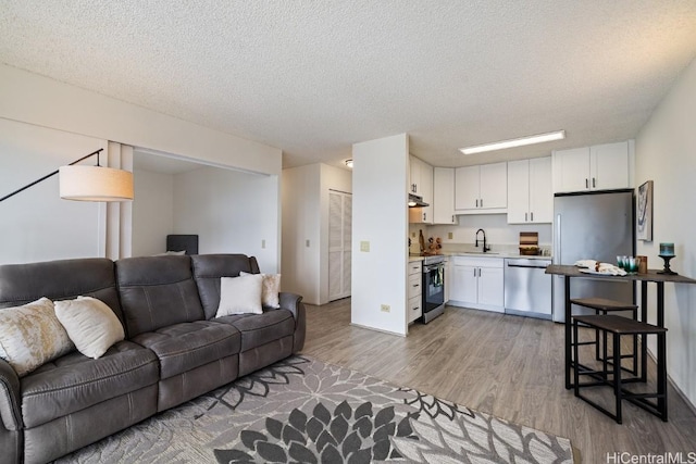 living room featuring a textured ceiling, hardwood / wood-style flooring, and sink