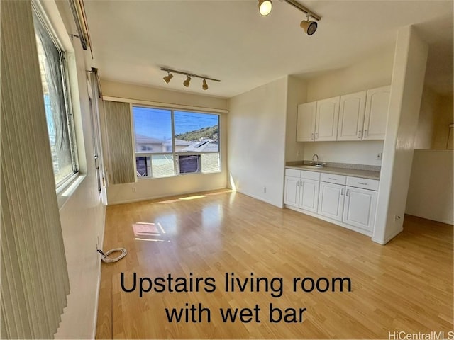 interior space featuring a wealth of natural light, light hardwood / wood-style flooring, and sink