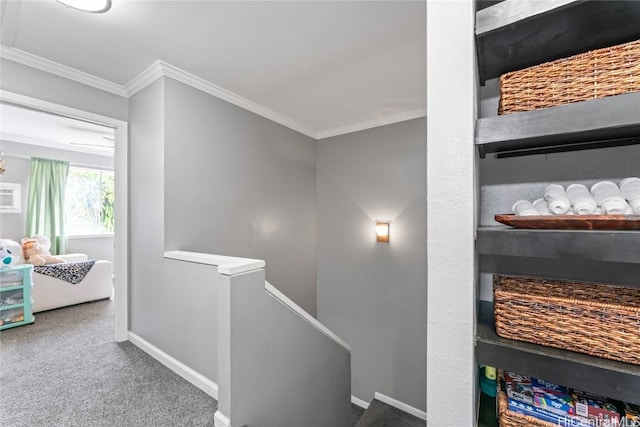 interior space featuring ornamental molding and carpet flooring