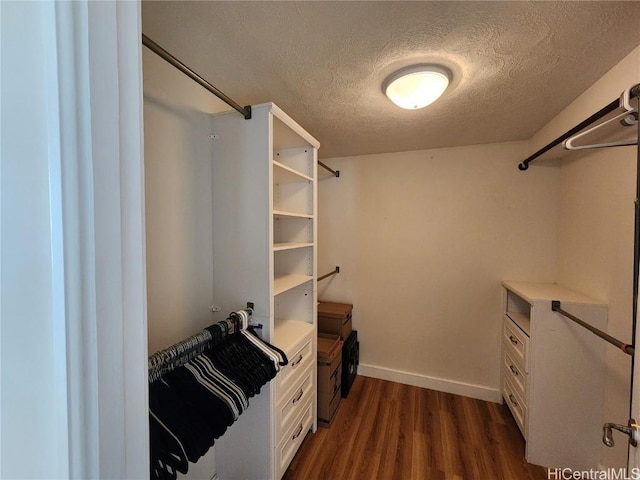 walk in closet with dark hardwood / wood-style floors