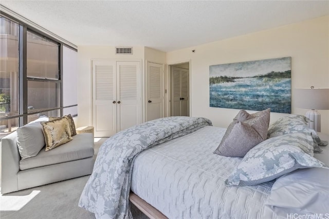 carpeted bedroom featuring a textured ceiling and two closets