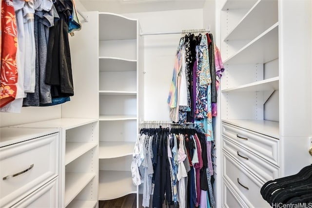 view of walk in closet