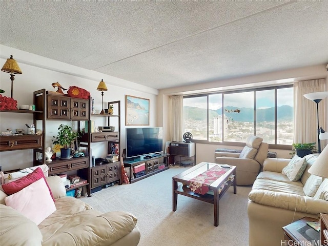 carpeted living room with a textured ceiling