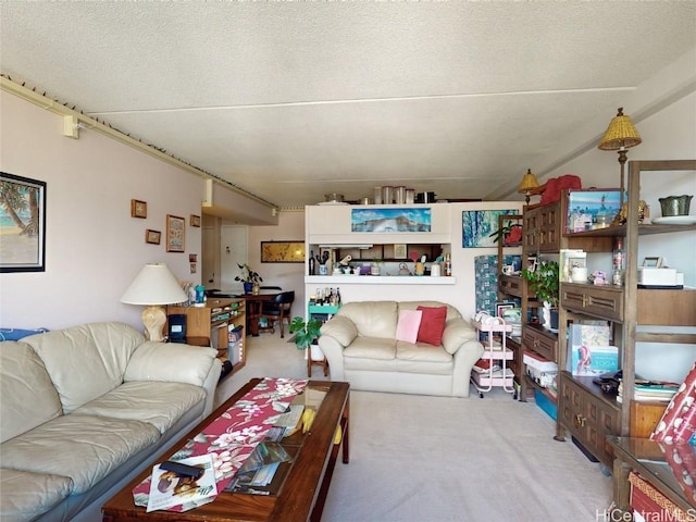 carpeted living room with a textured ceiling